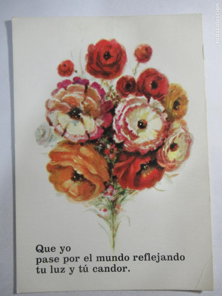 Postales: Postal flores planta - S/C - Foto 1