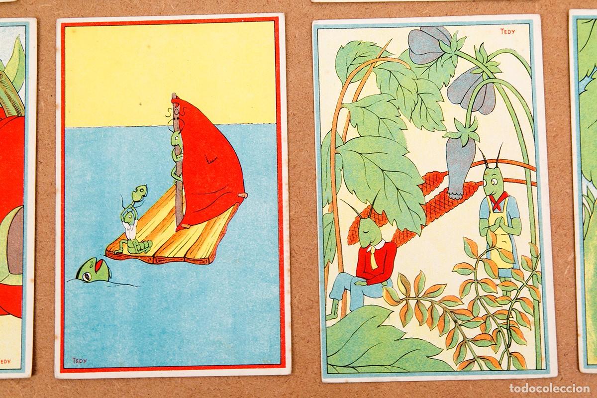 Postales: TEDY - COLECCION DE 10 POSTALES - RARAS - Foto 6