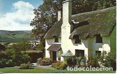 Postais: POSTAL A4921: Selworthy - NULL