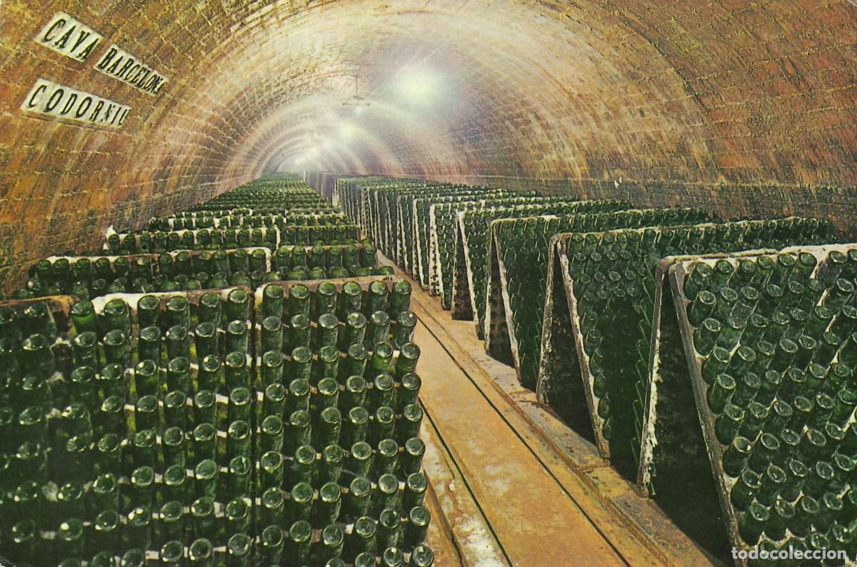 Postales: POSTALES - VARIADAS - CAVAS CODORNIU - BOTELLAS EN PUPITRE - Foto 1