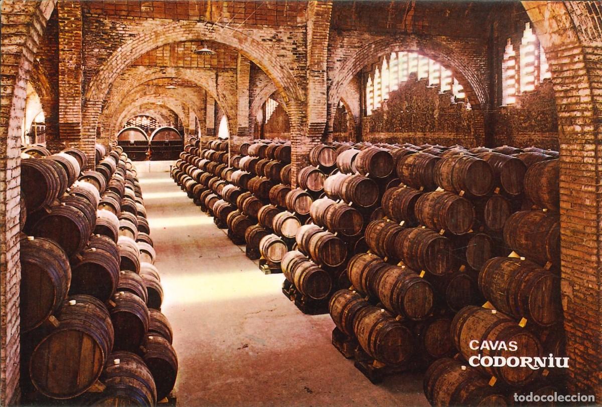 Postales: POSTALES - VARIADAS - CAVAS CODORNIU - UNA BODEGA. MONUMENTO NACIONAL - Foto 1