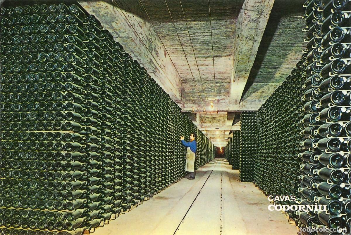 Postales: POSTALES - VARIADAS - CAVAS CODORNIU - BOTELLAS ENVEJECIENDO - Foto 1