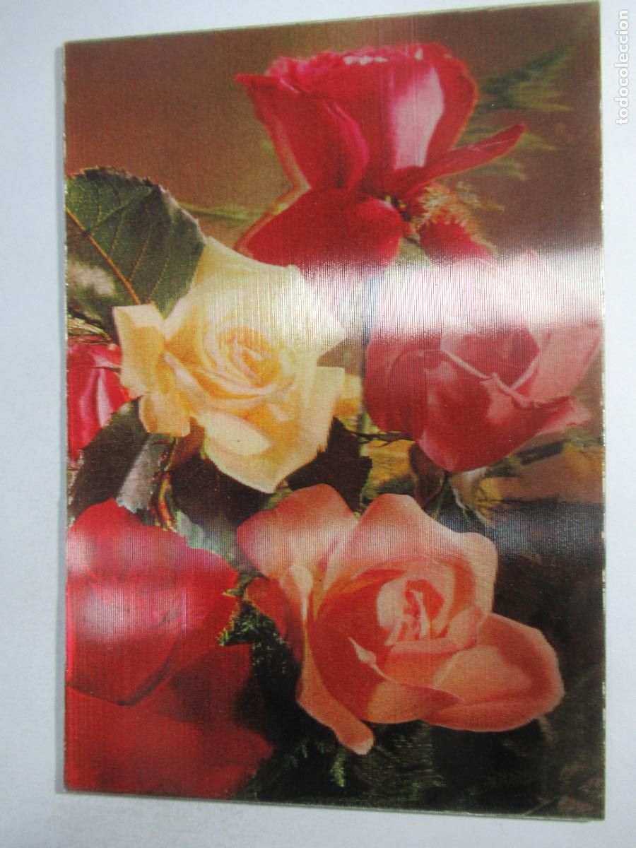 Postales: Postal Flores Rosas 3D tridimensional - Escrita