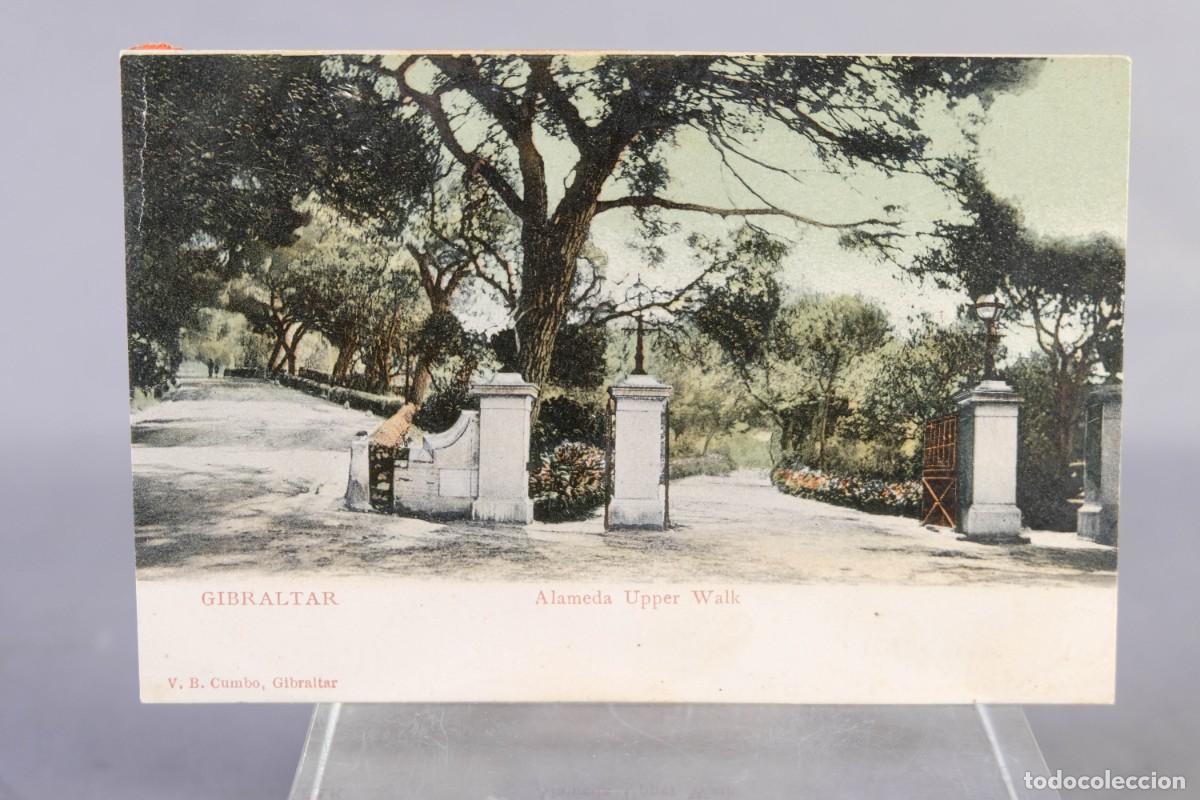 Postales: TARJETA POSTAL DE GIBRALTAR ALAMEDA UPPER WALK - Foto 1