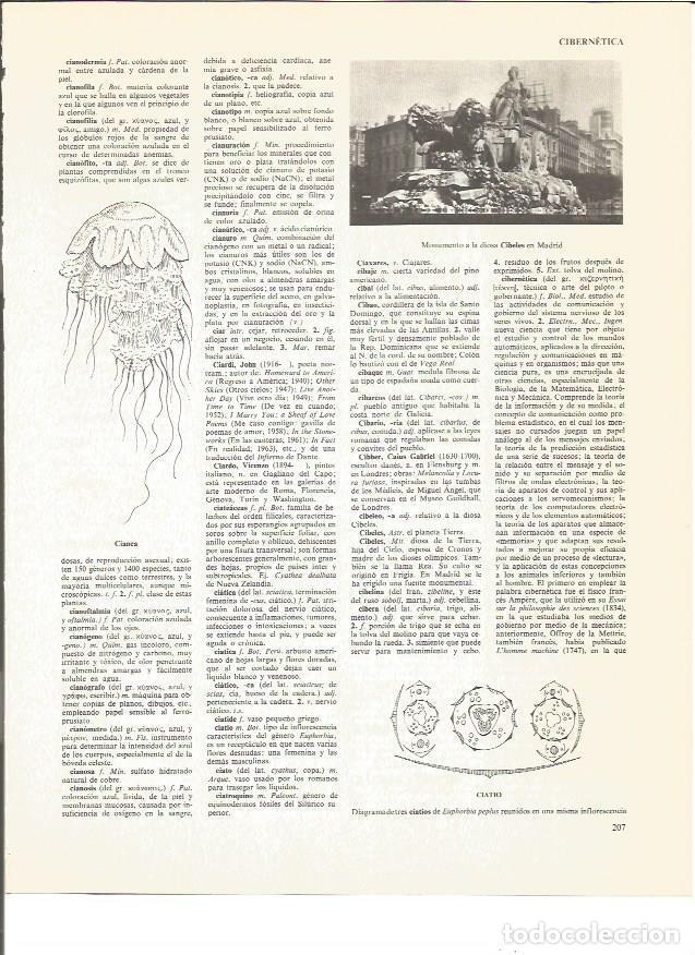 Postcards: LAMINA V01030: Monumento a la Diosa Cibeles, Madrid - VVAA