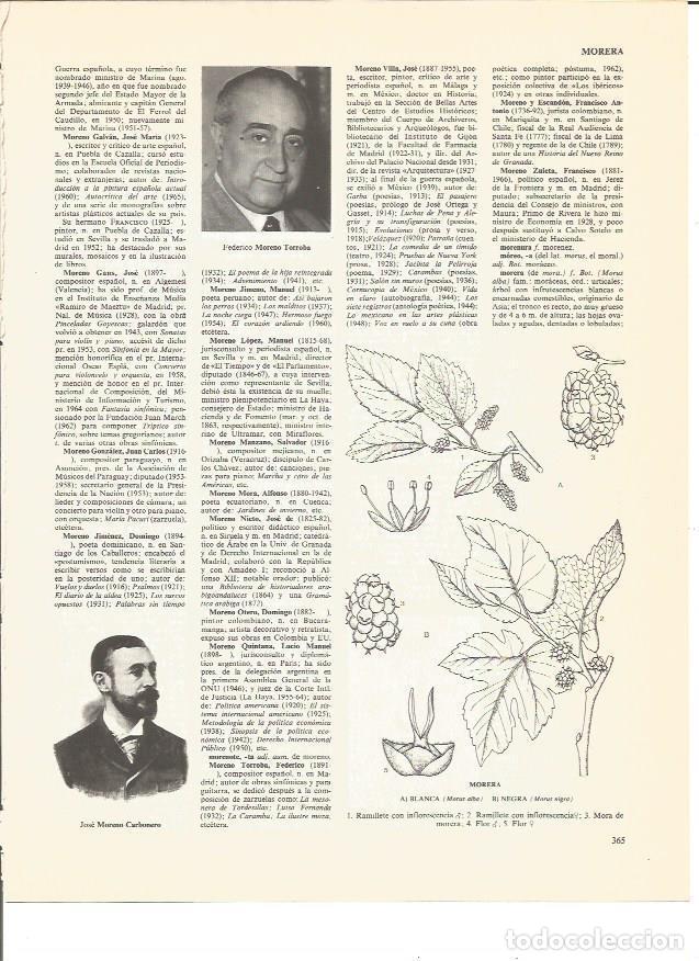 Cartes Postales: LAMINA V00474: F. Moreno Torroba y J. Moreno Carbonero - VVAA