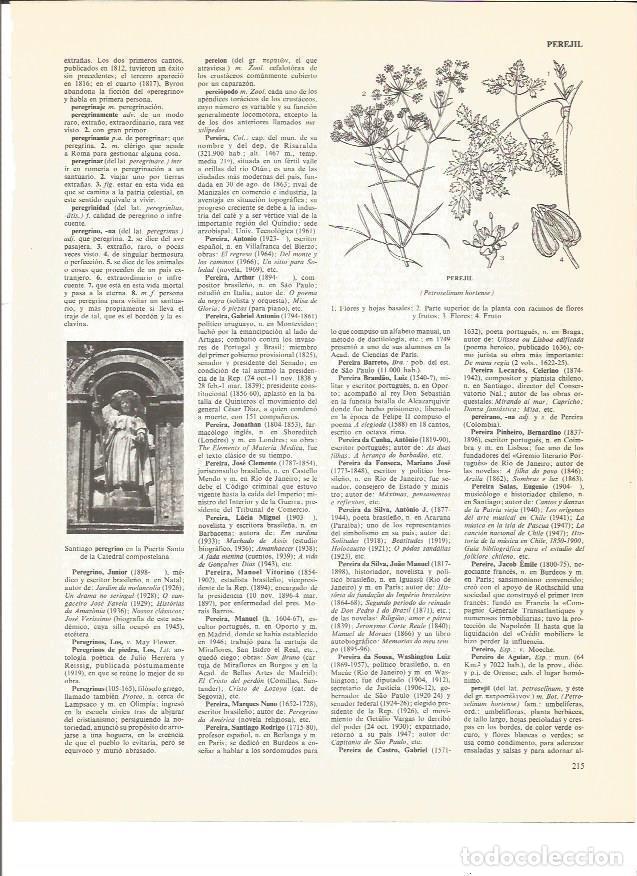 Postales: LAMINA V00723: Santiago Peregrino en la Puerta Santa de la Catedral de Santigo de Compostela - VVAA