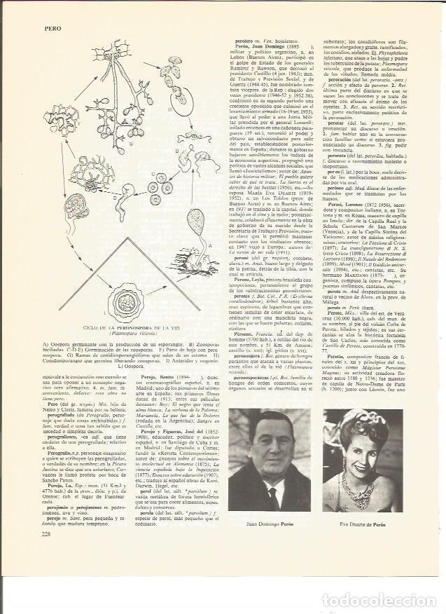 Cartoline: LAMINA V00725: J.D. Peron y Eva Duarte de Peron - VVAA