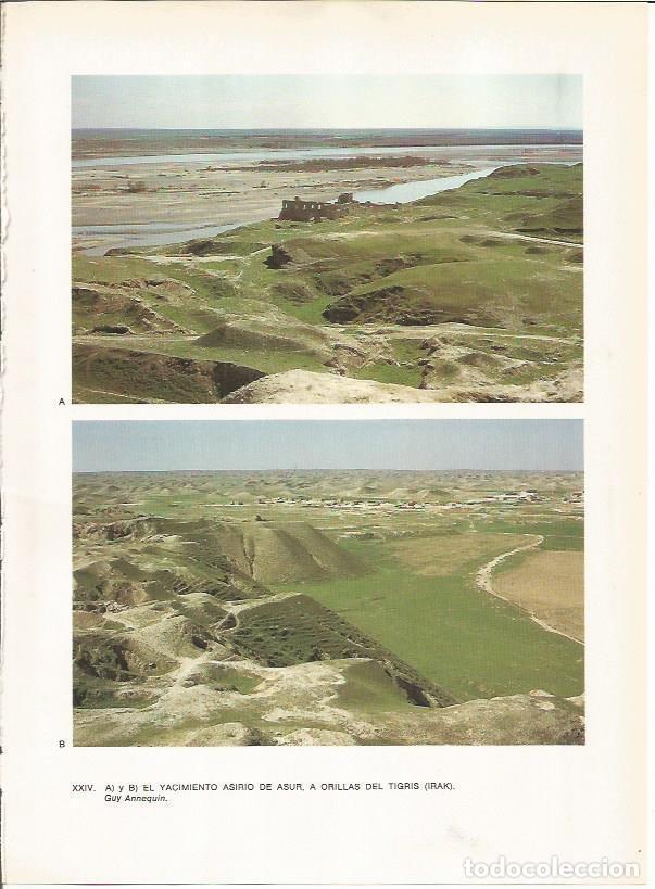 Cartes Postales: LAMINA 27643: Yacimiento de Asur, Irak - Guy Annequin