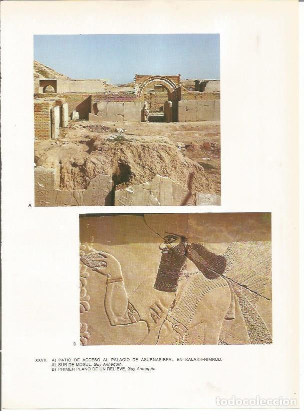 Cartoline: LAMINA 27646: Patio de acceso al Palacio de Asurbanipal y relieve asirio - Guy Annequin