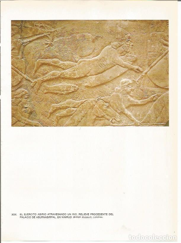 Cartoline: LAMINA 27649: Relieve del Palacio de Asurbanipal - Guy Annequin