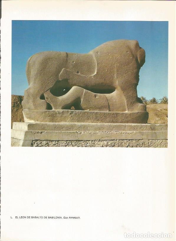 Postales: LAMINA 27669: Leon de basalto de Babilonia, Irak - Guy Annequin