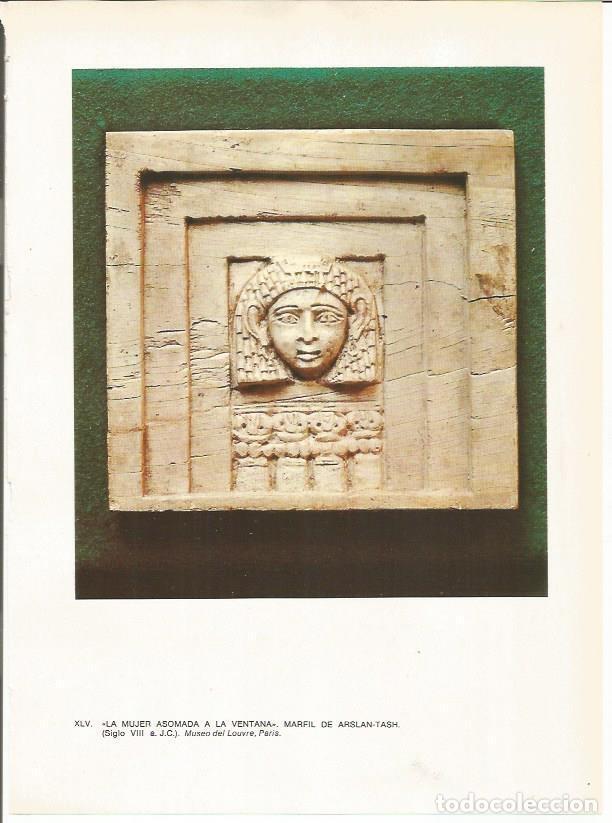 Postcards: LAMINA 27664: Mujer asomada a la ventana, marfil de Arslantash, Siria - Guy Annequin
