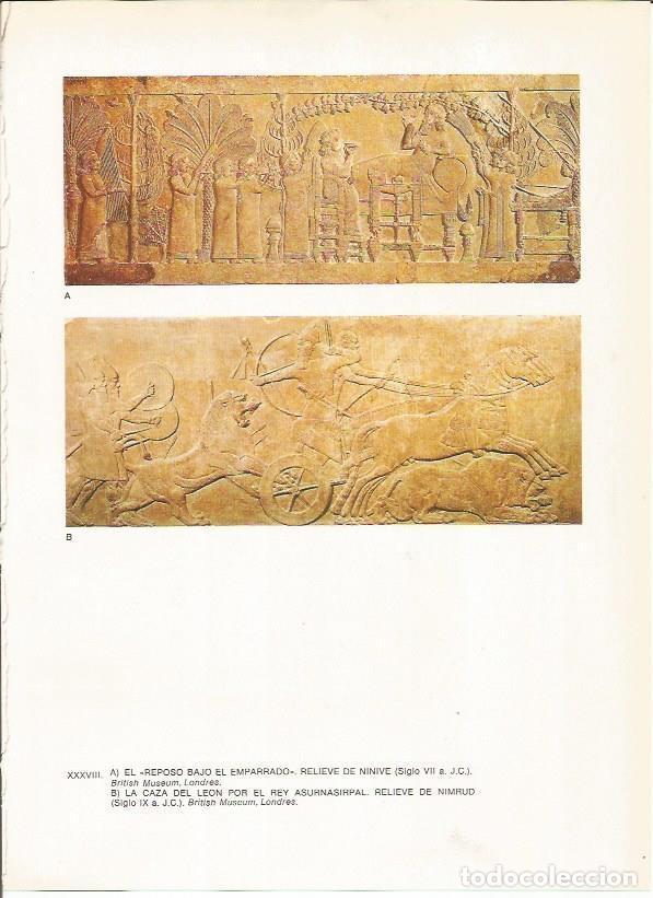 Postkarten: LAMINA 27657: Relieves asirios de Ninive y Nimrud, Irak - Guy Annequin