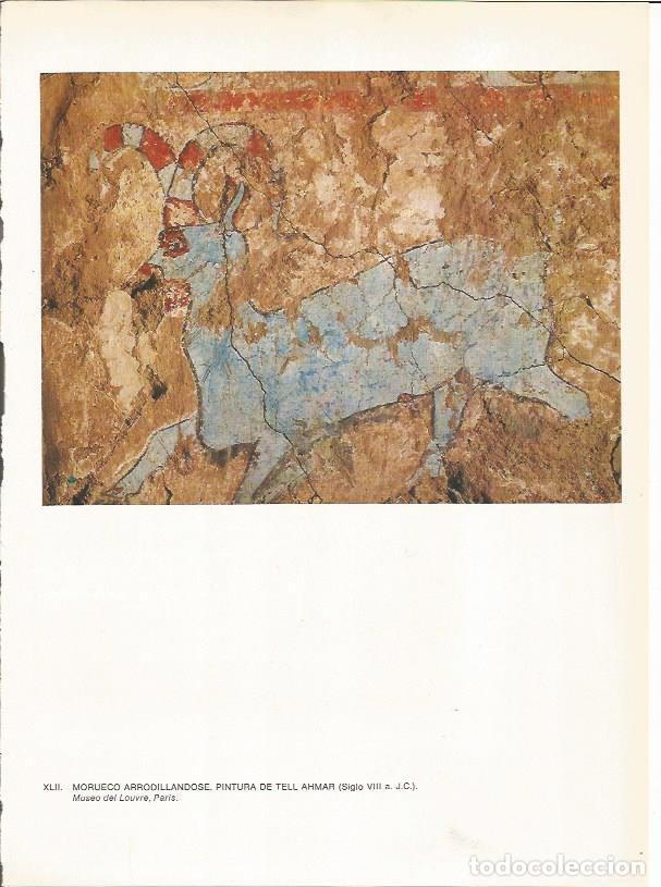 Postales: LAMINA 27661: Pintura de Tell Ahmar, Irak - Guy Annequin