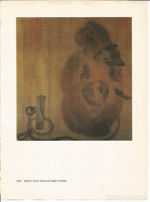 Postais: LAMINA 27593: Mono y gato, China - Raymonde de Gans