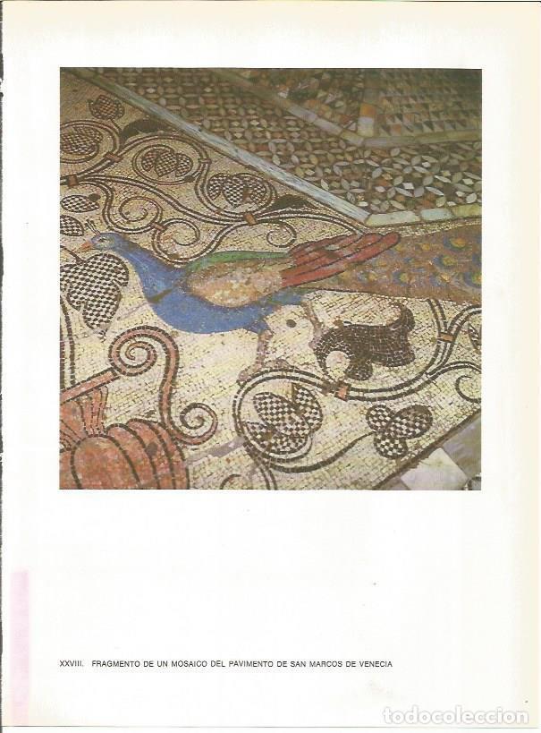 Postcards: LAMINA 27704: Mosaico del pavimento de San Marcos de Venecia, Italia - Guy Annequin