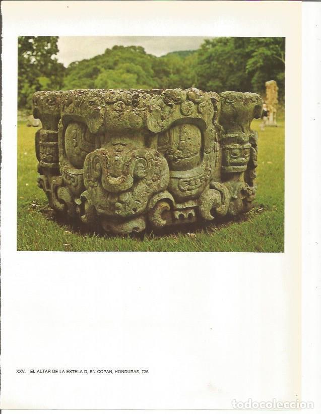 Postkarten: LAMINA 27360: Altar de la estela D de Copan, Honduras - Guy Annequin