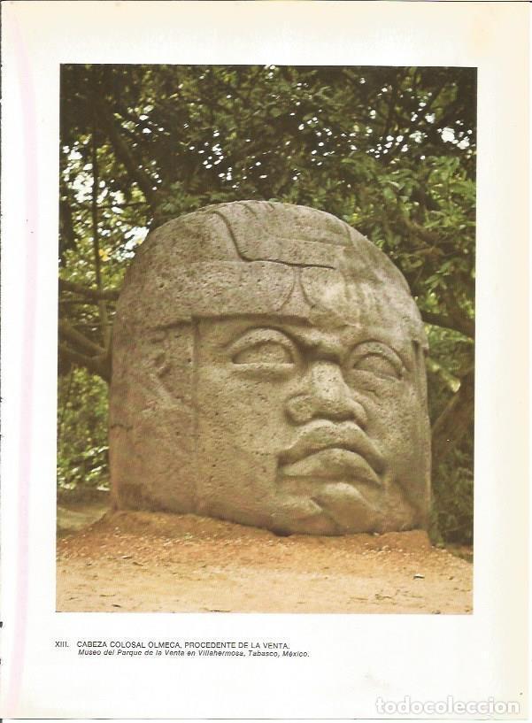 Cartoline: LAMINA 27348: Cabeza colosal olmeca - Guy Annequin