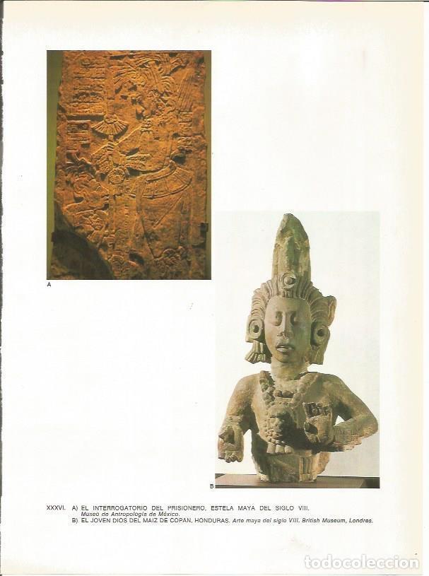 Postais: LAMINA 27371: Estela maya y el dios del Maiz de Copan - Guy Annequin