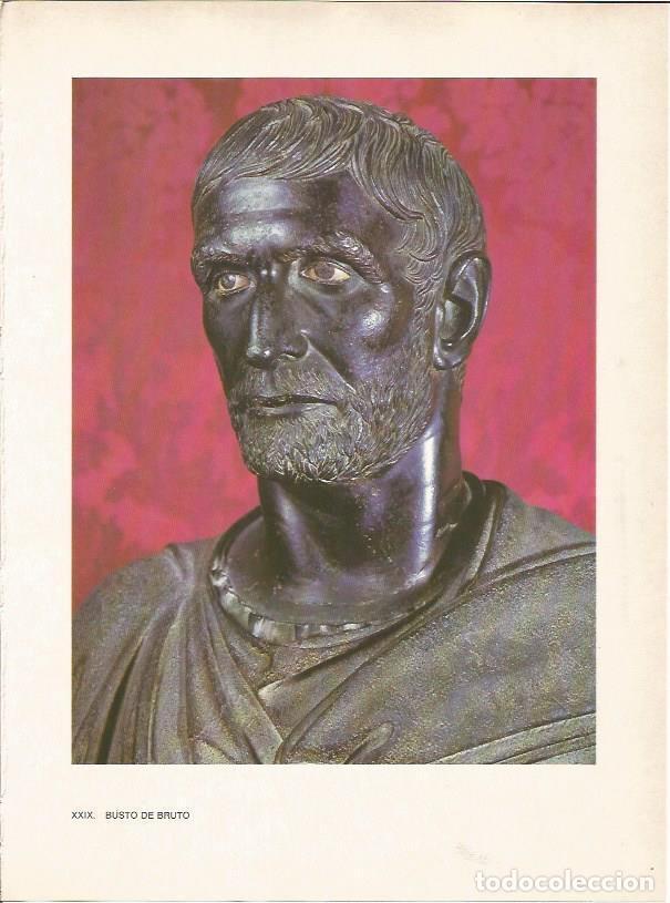 Postcards: LAMINA 27478: Busto de Bruto - Raymonde de Gans