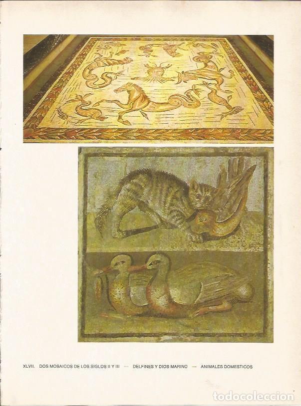 Postkarten: LAMINA 27496: Mosaicos romanos de delfines y animales domesticos - Raymonde de Gans