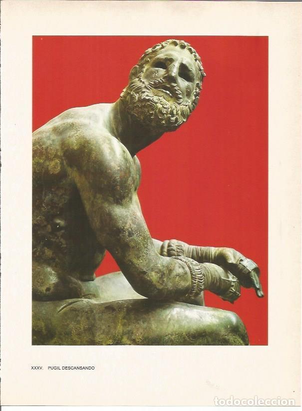 Cartes Postales: LAMINA 27484: Pugil descansando - Raymonde de Gans