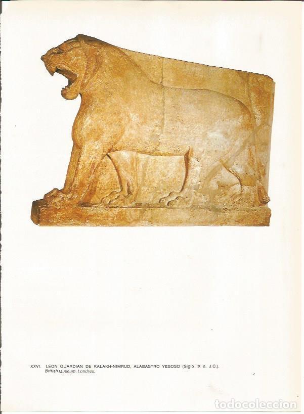 Cartoline: LAMINA 27645: Leon de Kalakh o Nimrud, Irak - Guy Annequin