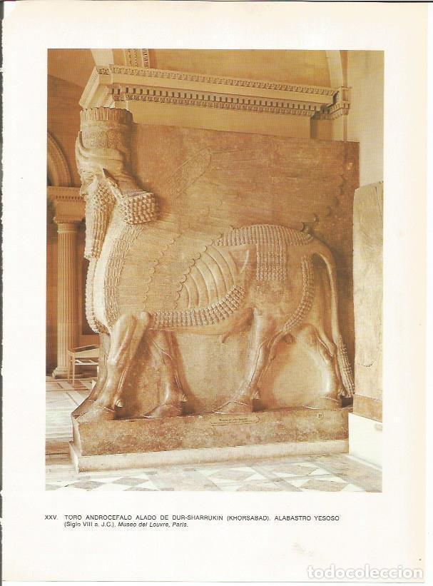 Postales: LAMINA 27644: Toro alado de Dur-Sharrukin o Jorsabad, Irak - Guy Annequin