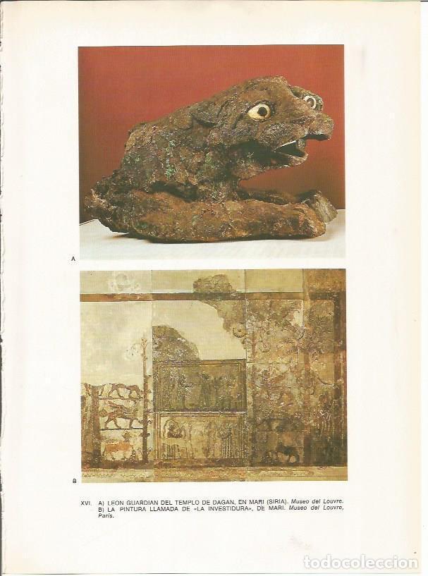 Postales: LAMINA 27635: Leon del templo de Dagan en Mari, Siria - Guy Annequin