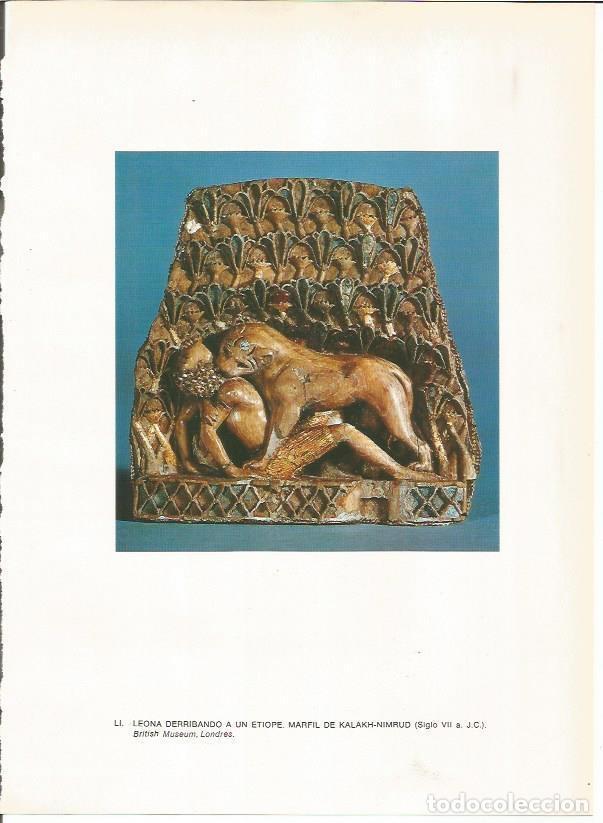 Cartes Postales: LAMINA 27670: Marfil de Nimrud, Irak - Guy Annequin