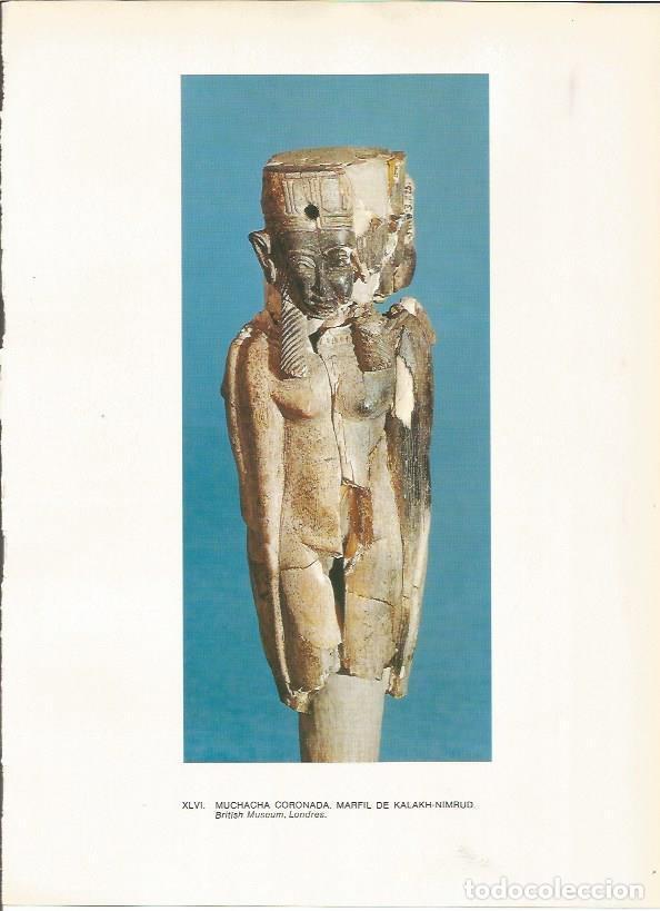 Postales: LAMINA 27665: Marfil de Nimrud, Irak - Guy Annequin