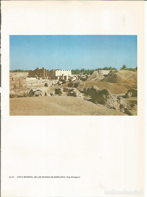 Postais: LAMINA 27666: Ruinas de Babilonia, Irak - Guy Annequin