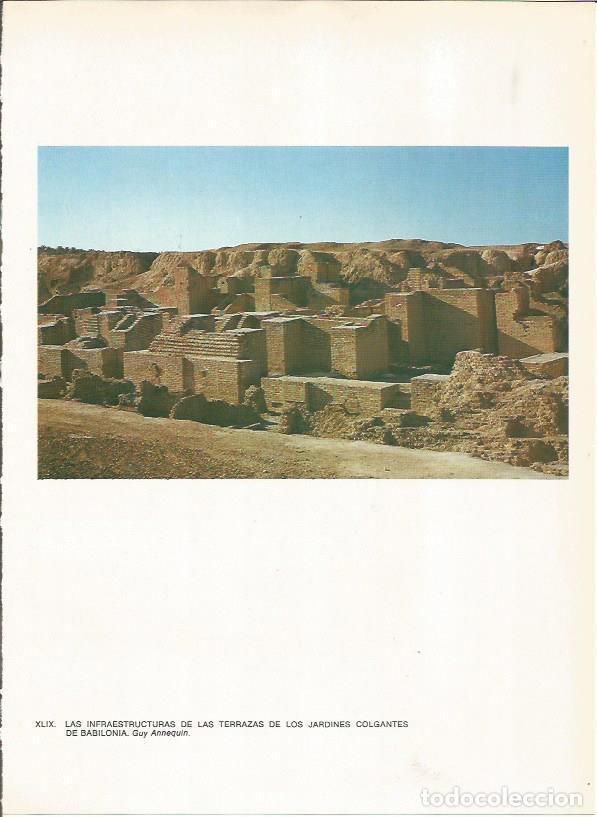 Postales: LAMINA 27668: Terrazas en Babilonia, Irak - Guy Annequin