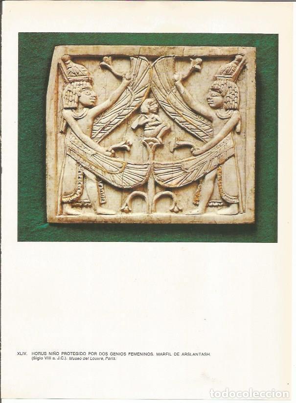 Postkarten: LAMINA 27663: Marfil de Arslantash - Guy Annequin