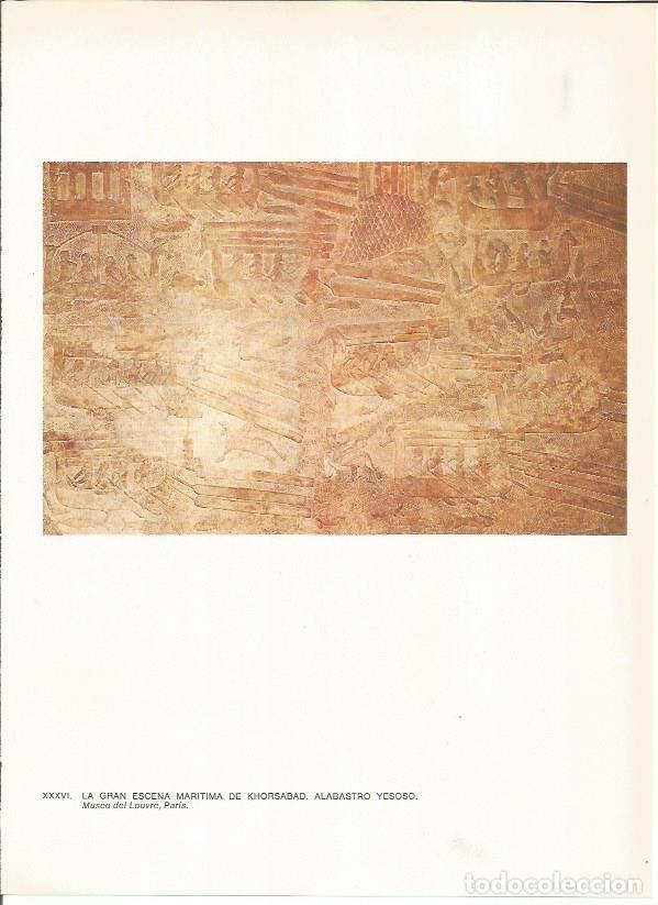 Postales: LAMINA 27655: Relieve maritimo de Jorsabad, Irak - Guy Annequin