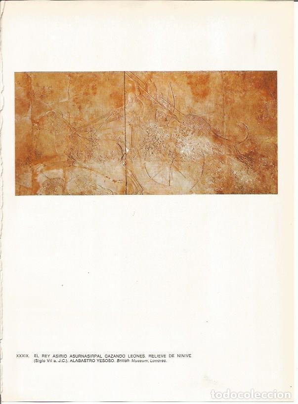 Cartes Postales: LAMINA 27658: Asurbanipal cazando leones, relieve de Ninive, Irak - Guy Annequin