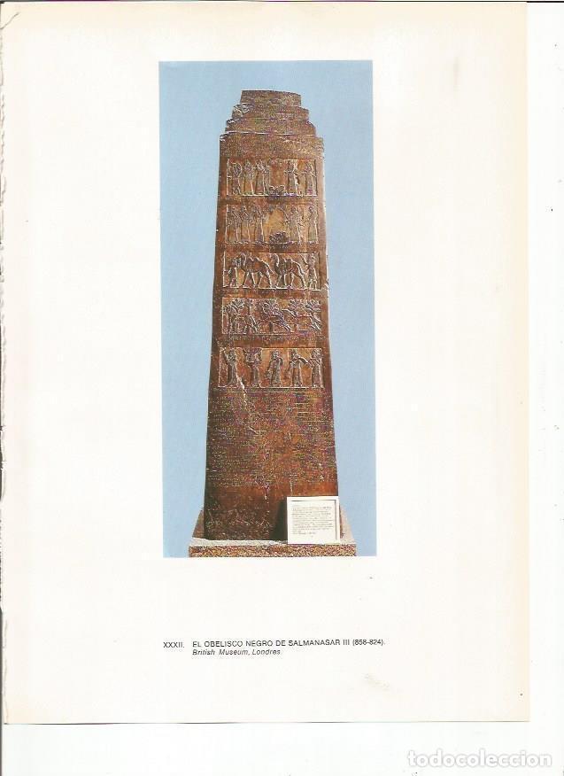 Postcards: LAMINA 27651: Obelisco negro de Salmanasar III de Asiria - Guy Annequin
