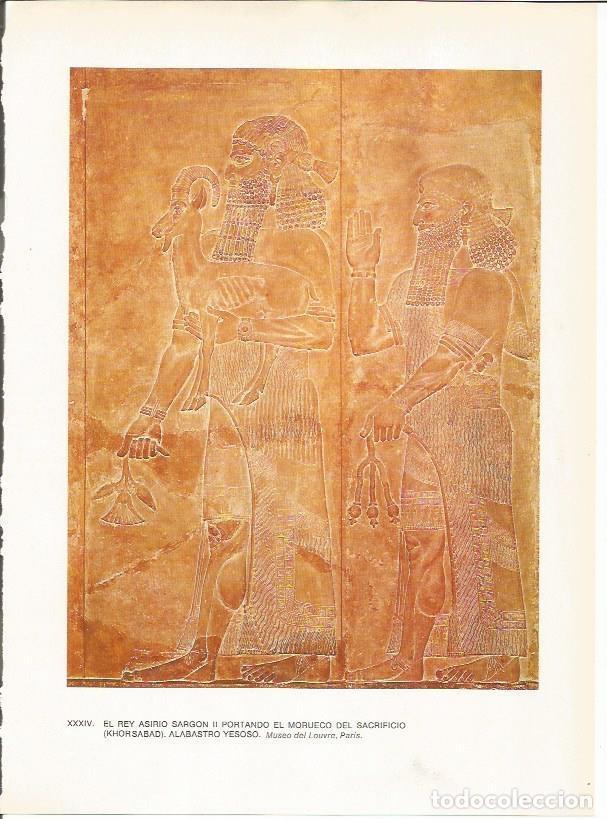 Cartoline: LAMINA 27653: El rey asirio Sargon II portando el morueco del sacrificio - Guy Annequin