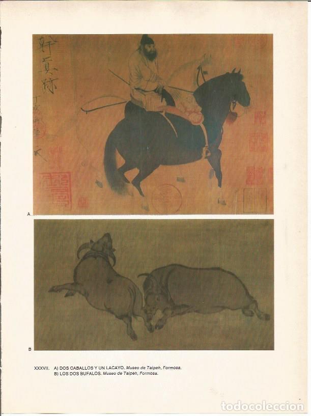 Postais: LAMINA 27599: Dos caballos y un lacayo y los dos b&uacute;falos, China - Raymonde de Gans