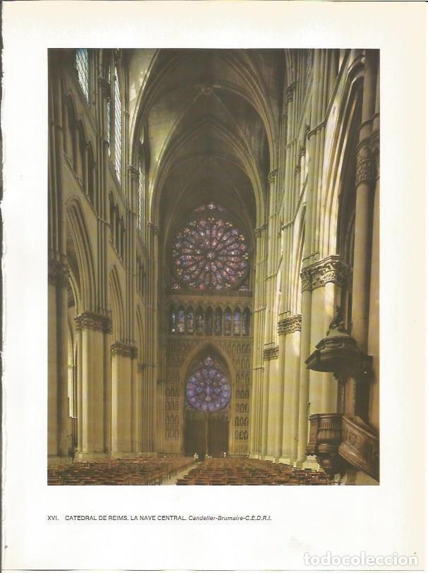 Postales: LAMINA 27749: Nave central de la catedral de Reims, Francia - Jean Baudry