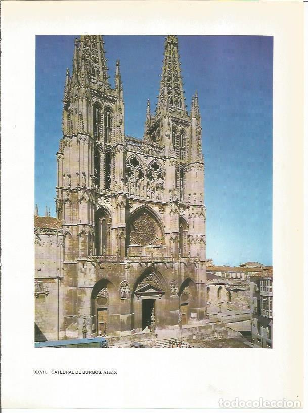 Cartoline: LAMINA 27760: Catedral de Burgos - Jean Baudry