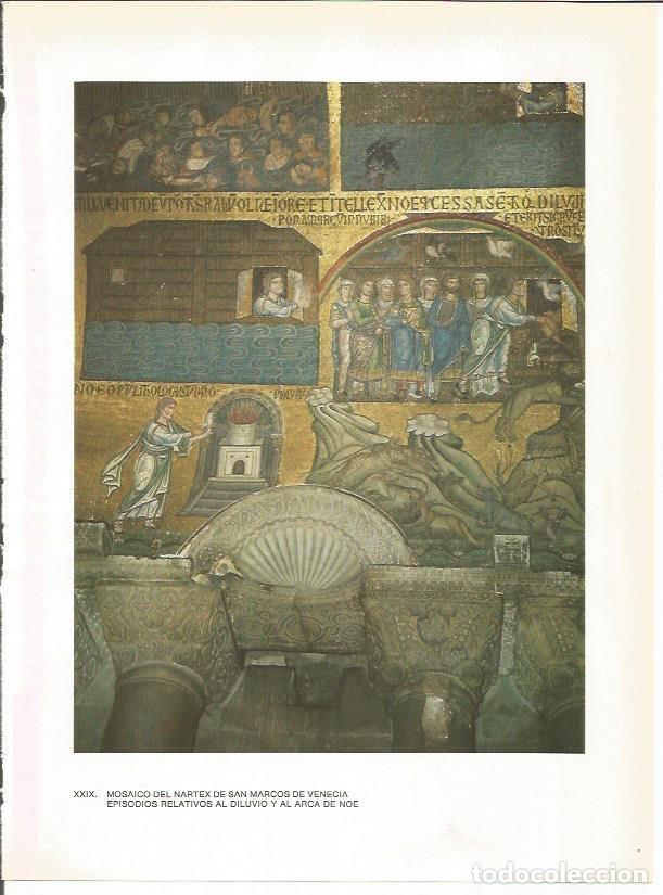 Cartoline: LAMINA 27705: Mosaico del nartex de San Marcos de Venecia, Italia - Guy Annequin