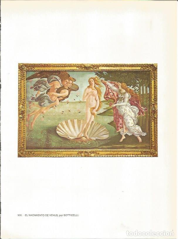Cartoline: LAMINA 27412: El nacimiento de Venus, por Botticelli - Raymonde de Gans