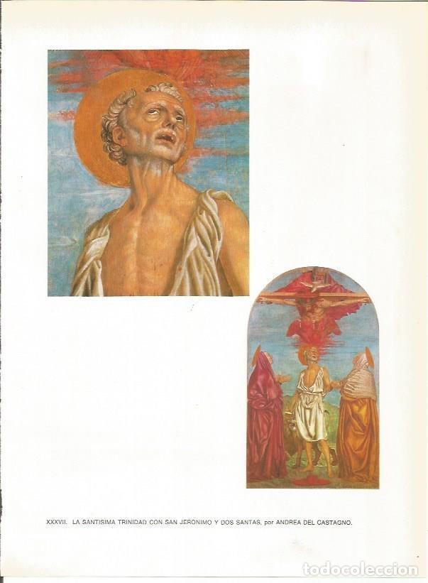 Postkarten: LAMINA 27428: La Santisima Trinidad con San Jeronimo y dos santas, por Andrea del Castagno - Raymond