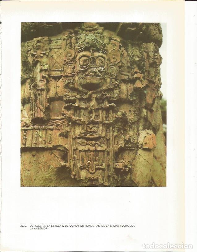 Postkarten: LAMINA 27359: Estela C de Copan, Honduras - Guy Annequin
