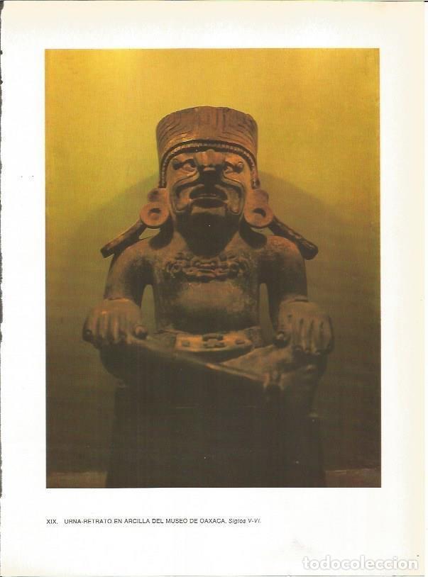 Postcards: LAMINA 27354: Urna retrato del Museo de Oaxaca, Mexico - Guy Annequin