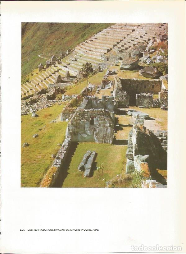 Postcards: LAMINA 27391: Terrazas cultivadas de Machu Picchu, Peru - Guy Annequin