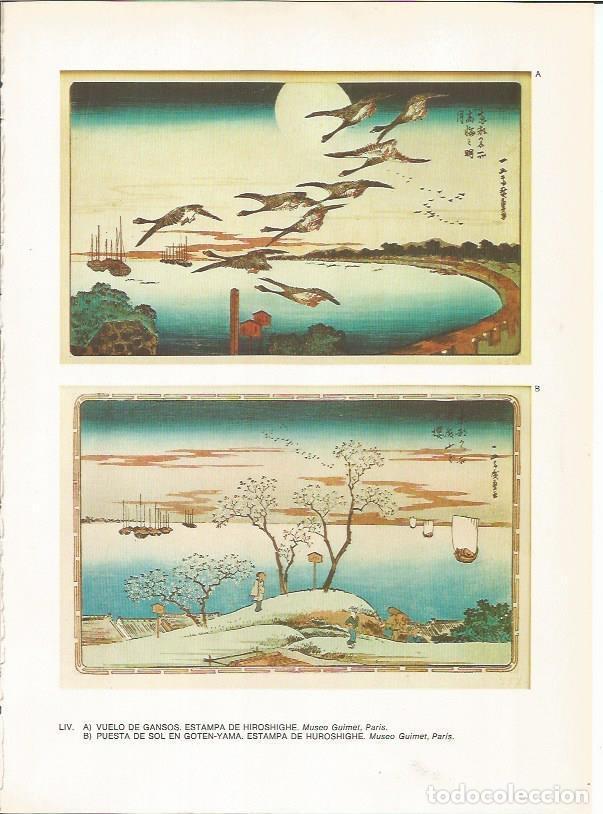 Postkarten: LAMINA 27560: Vuelo de gansos y puesta de sol, por Hiroshighe - Raymonde de Gans