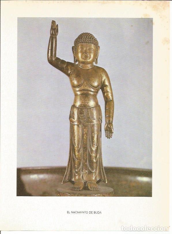 Cartoline: LAMINA 27506: El nacimiento de Buda - Raymonde de Gans